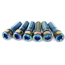SALT SOLID stem bolt set, Oil Slick (X6 bolts)